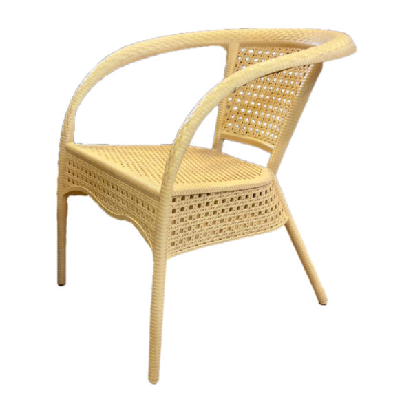 Panama SF 002 Full Plastic Elegent Easy Chair
