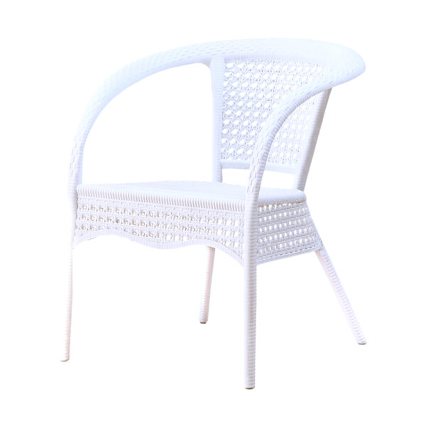 Panama SF 003 Full Plastic Elegent Easy Chair